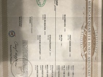 2018 Barrel Horse