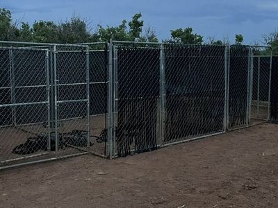 4 Run Kennel Setup For dogs