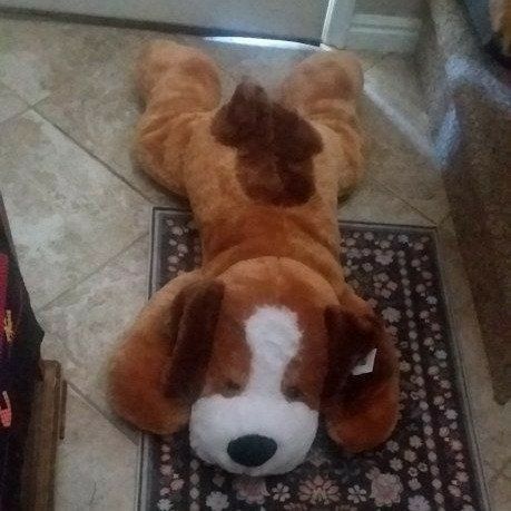 CUDDLE BUDDY!   42 INCHES OF AWESOME PUPPY!