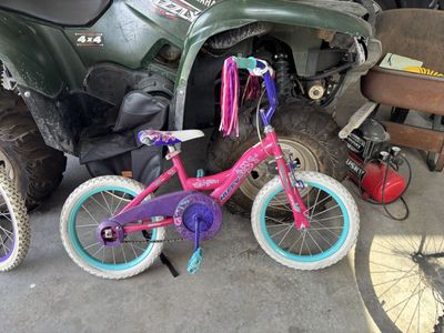 Huffy Disney Princess Girls' 16" Bike - Pink/Purple, Training Wheels Ready