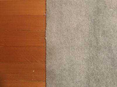 Free wool rug 7’10”x10’