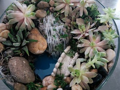 Glass bowl terranum with live succulents