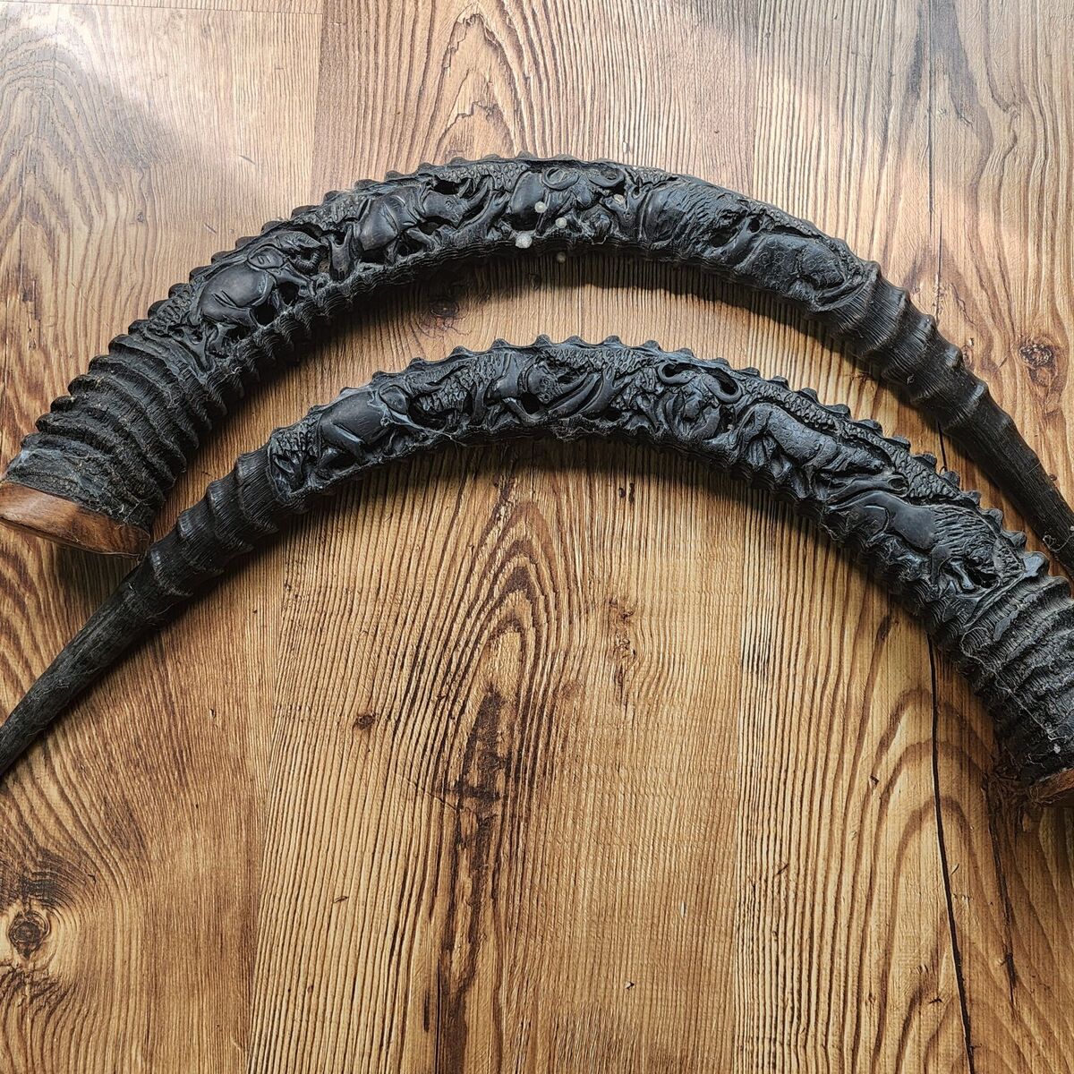 a pair of sable horns