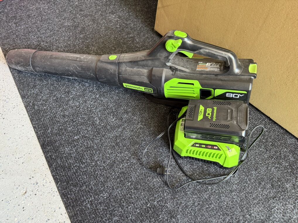 Greenworks Pro 80 Volt Leaf Blower Battery