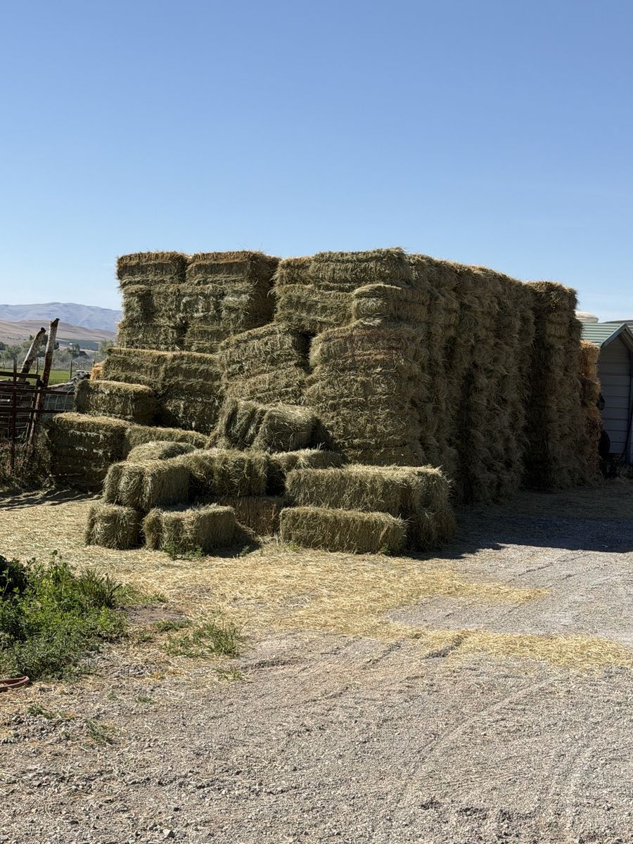 Grass hay for sale