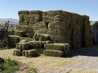 Grass hay for sale