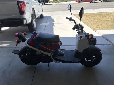 2022 Honda Ruckus