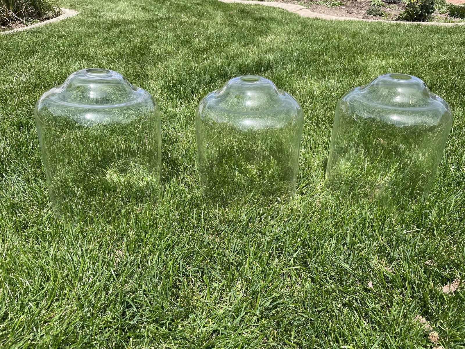 3 Oversized Clear Glass Shades