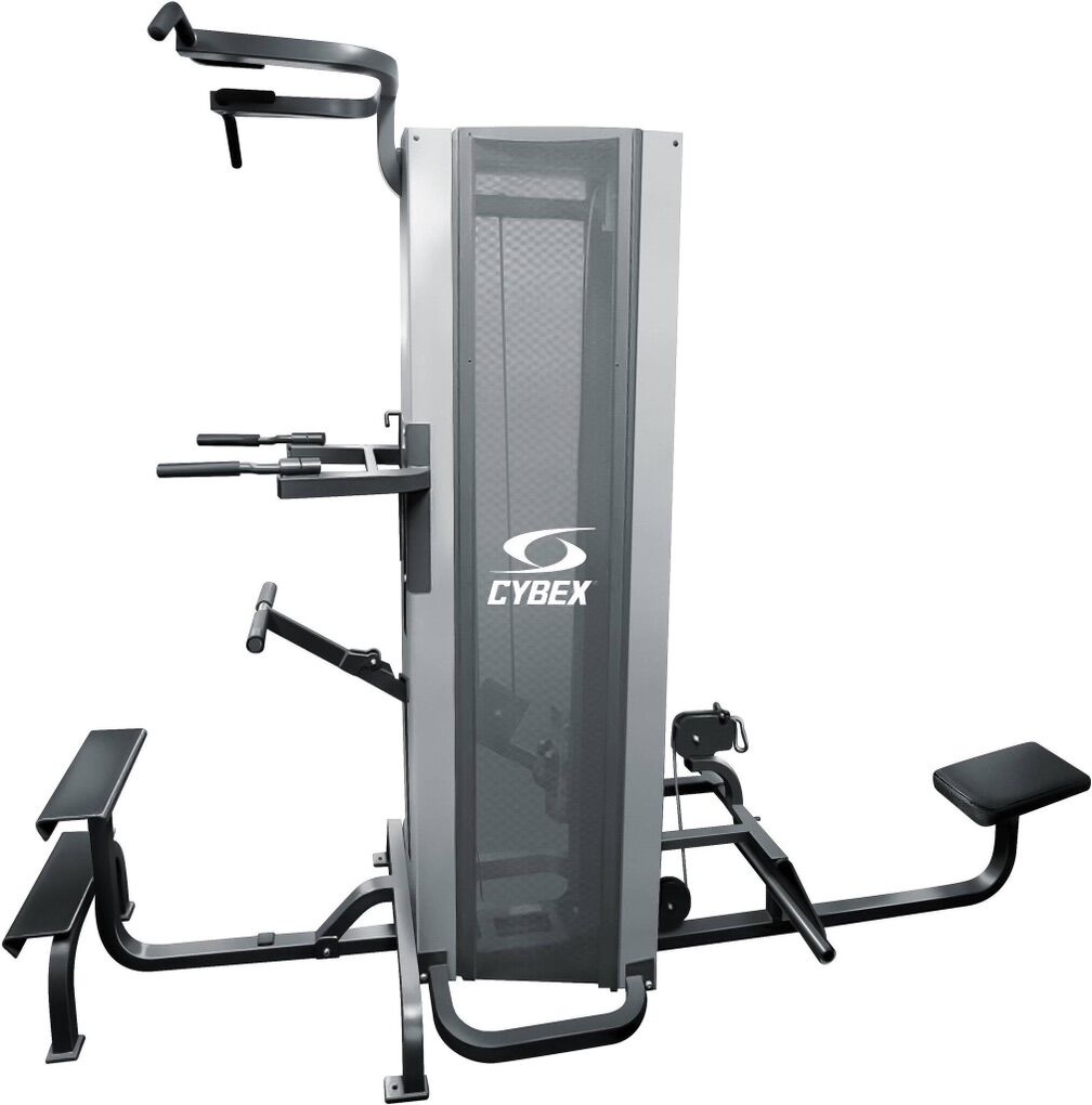 Cybex Standing Chin Dip Assist machine