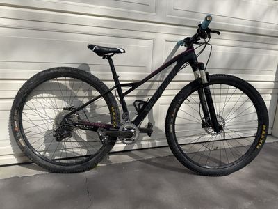 Specialized Fate size 15 29er NICA