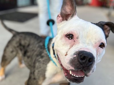 Hello my name is Bette