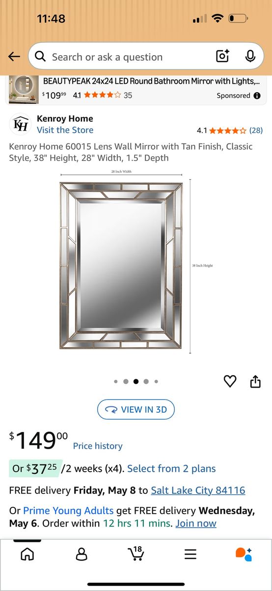 Kenroy Home Lens Beveled Rectangular Mirror
