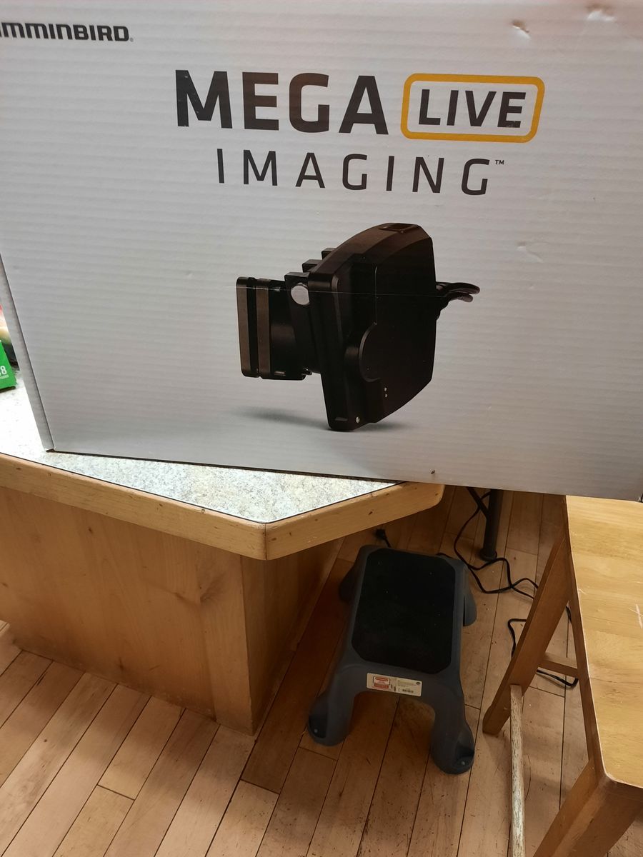 Mega live one imaging transducer