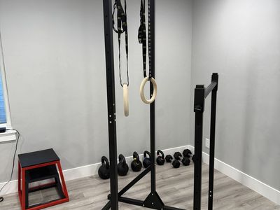 Pull up and dip bar