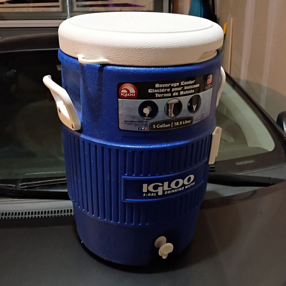 5 Gal Cooler