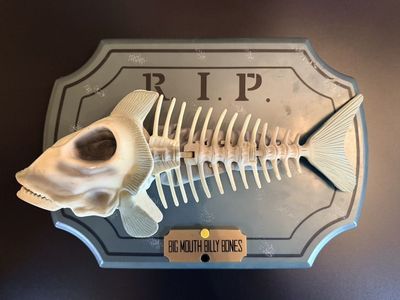 Big Mouth Billy Bones Singing Skeleton Fish