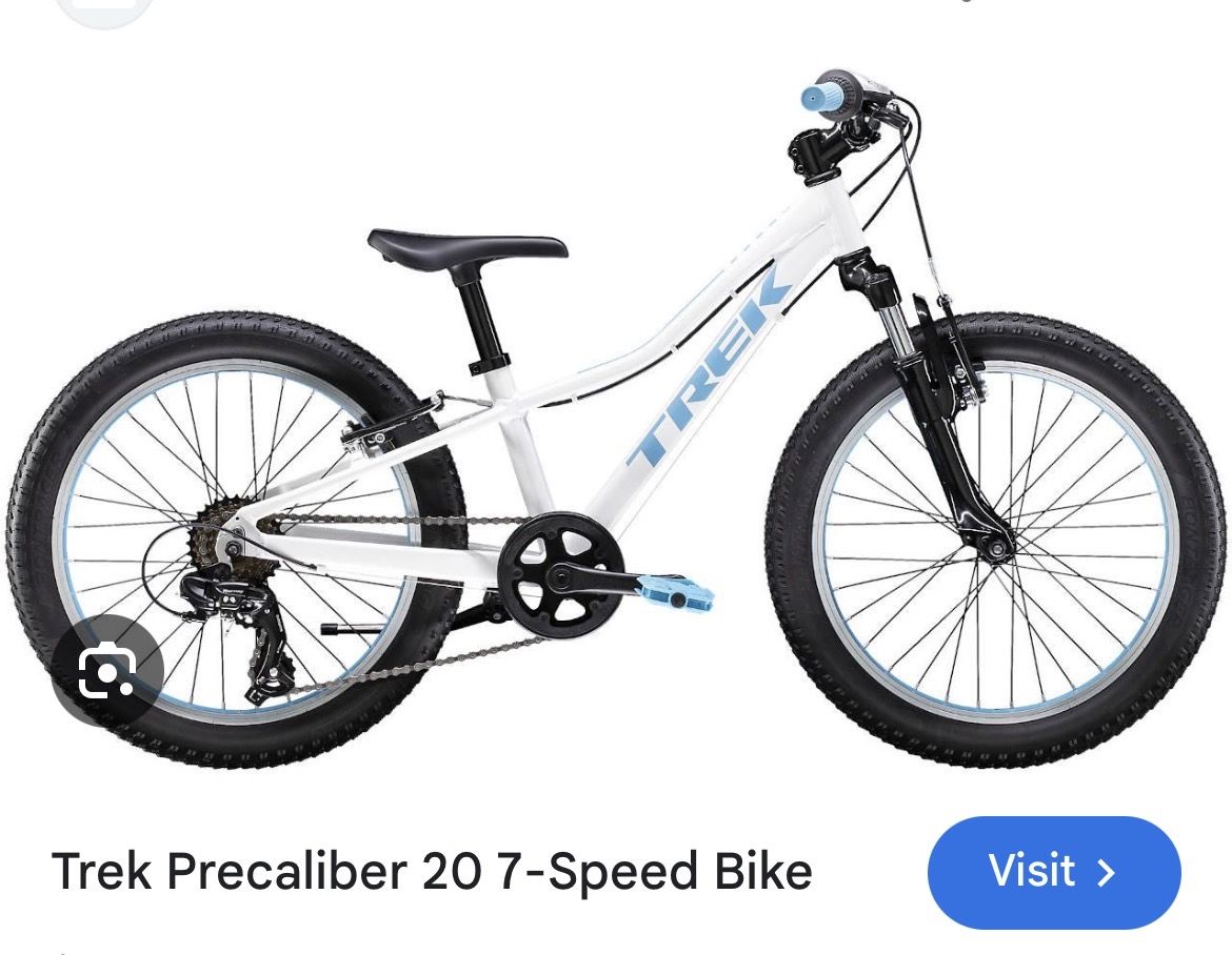 20 inch kids Trek bike