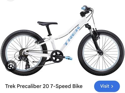 20 inch kids Trek bike