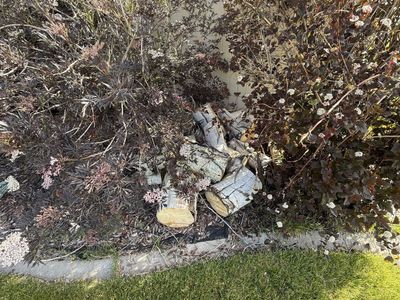 Free firewood