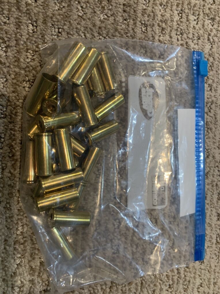 44 S&W Special Range Brass Cleaned