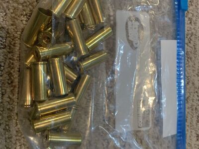 44 S&W Special Range Brass Cleaned