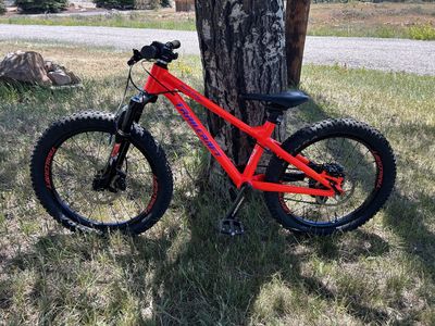 Trailcraft Blue Sky 20"