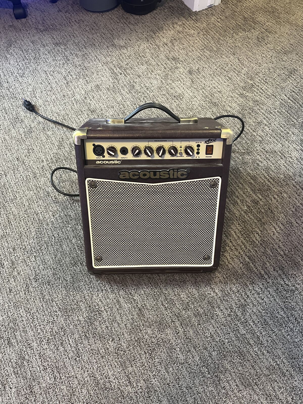 Acoustic A15 acoustic guitar amp