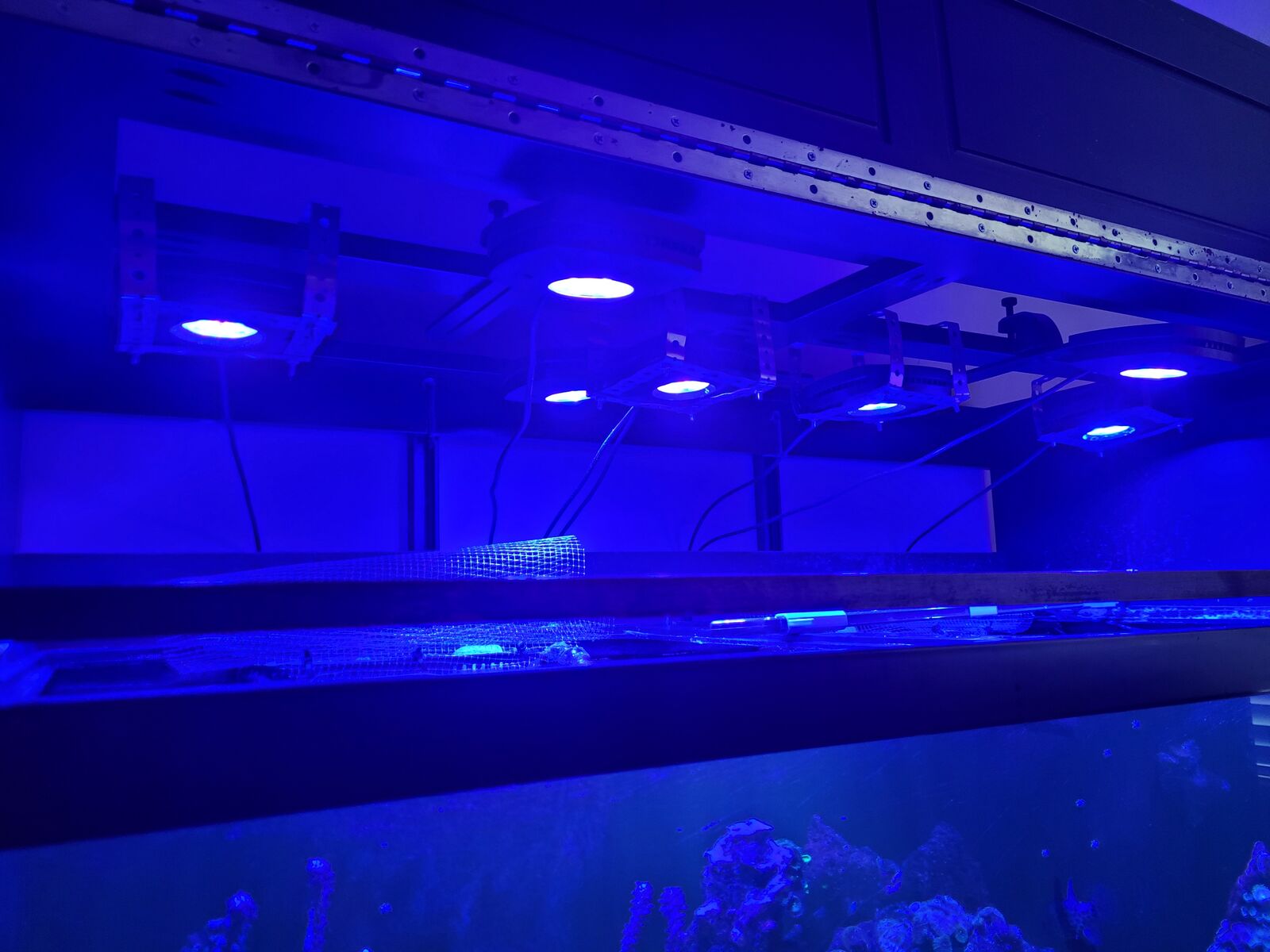 AI prime HD reef lights