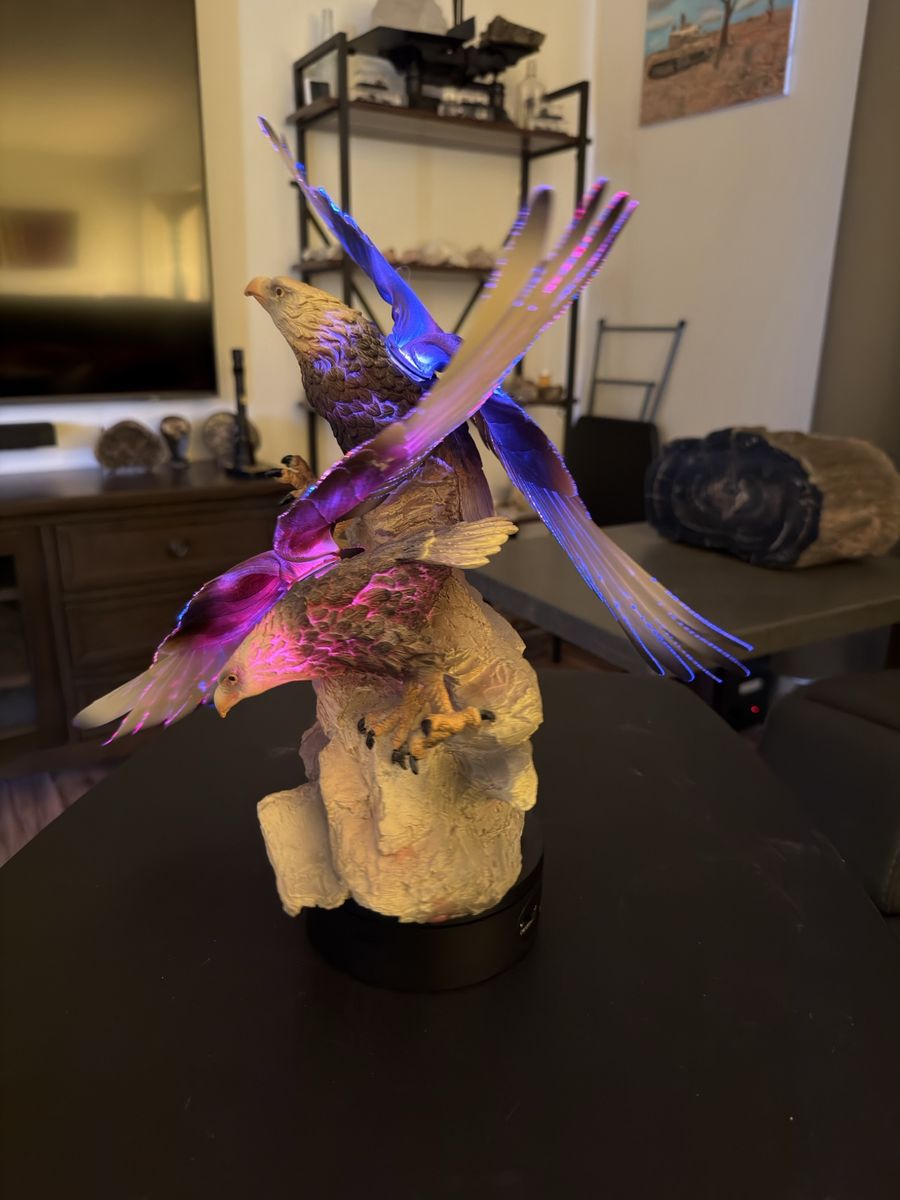 Main image 5