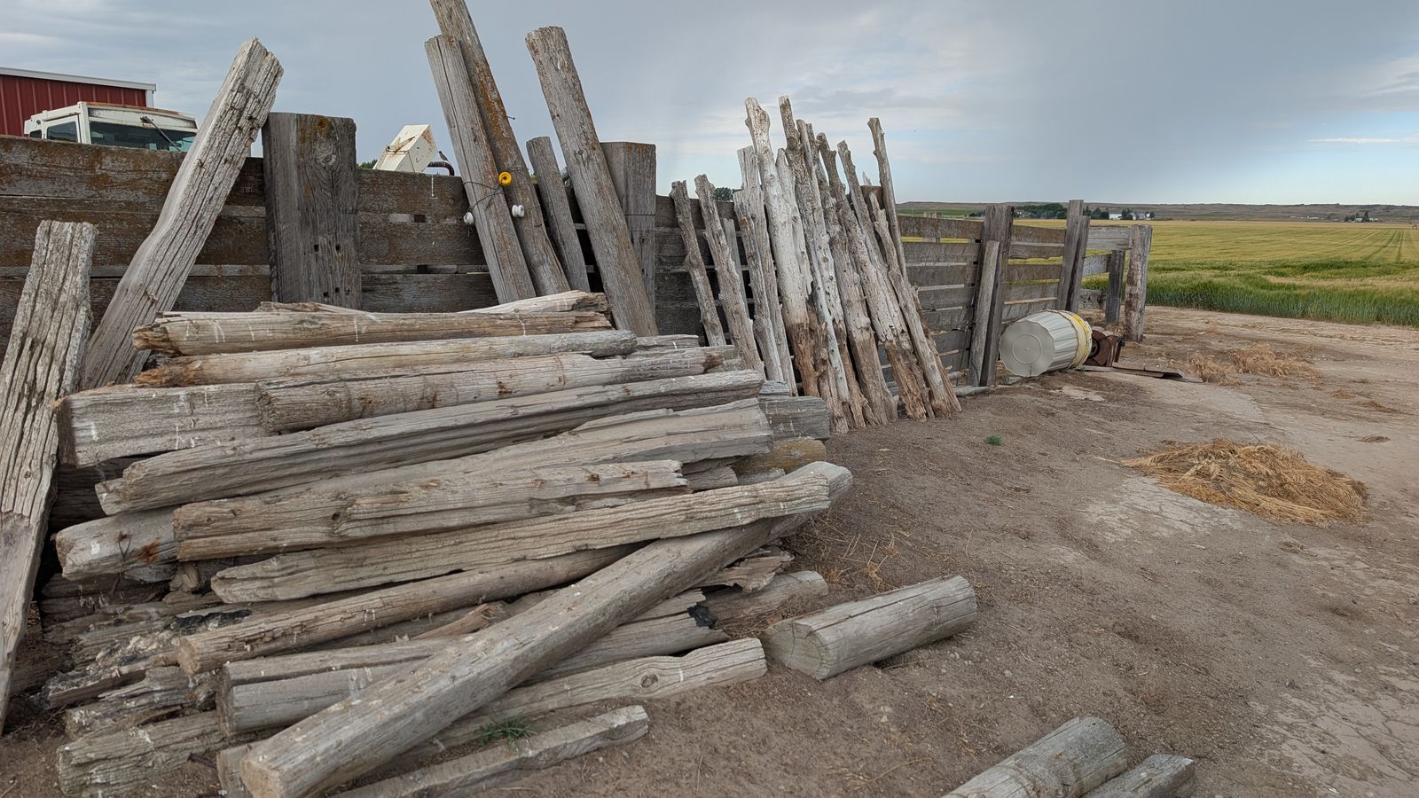 Cedar Fence posts
