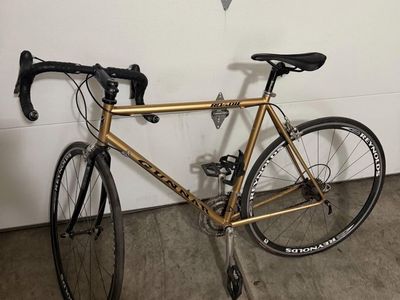 Gunnar bike