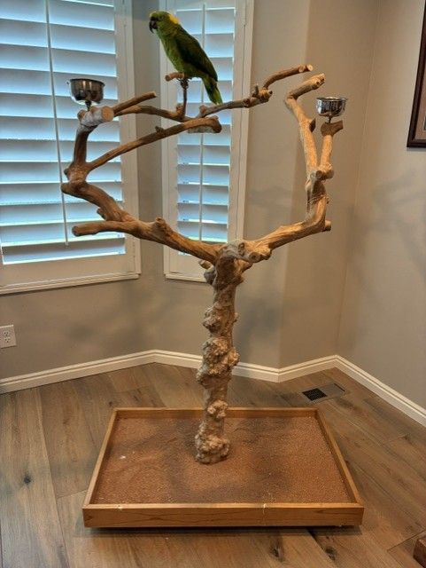 Main image 2