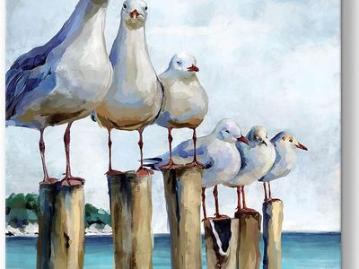 New Seagull Ocean Wall Art Gallery Wrapped Canvas Print, Coastal Beach Seaside Bird Picture