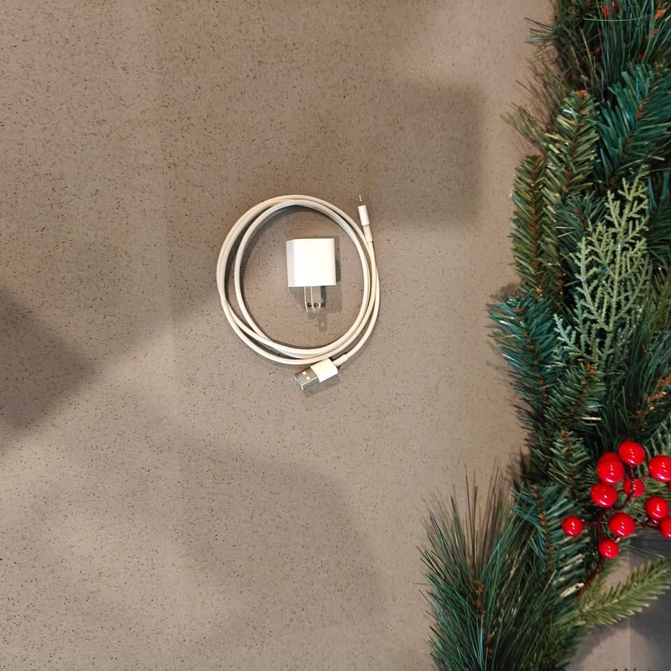 USED Good Apple Lightning to USB Cable and Wall Charging Cube