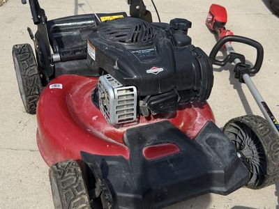 Briggs & Stratton GTS 140cc Gas Lawn Mower with Grass Bag