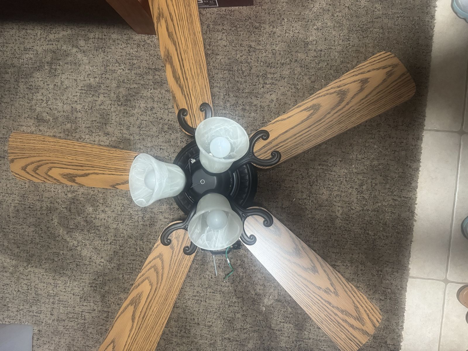 Ceiling fan 