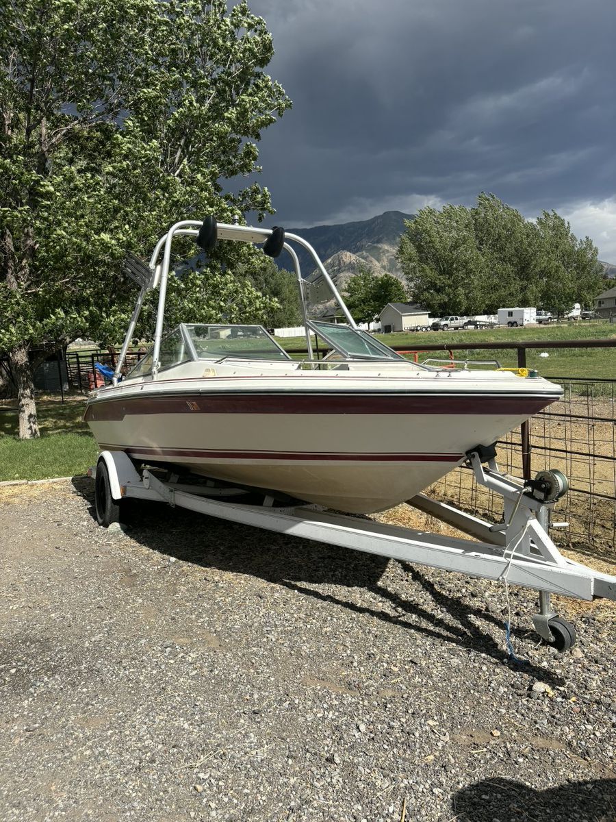 searay mercruser