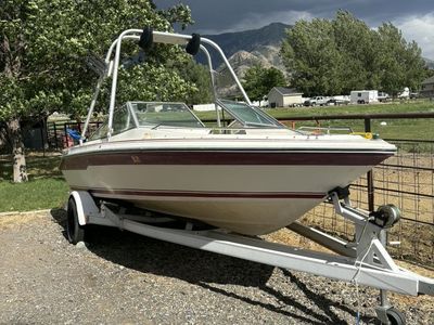searay mercruser
