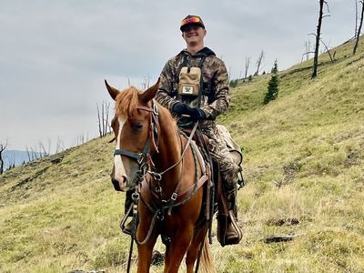 2 yr old broke grade gelding (available 9/19) videos available