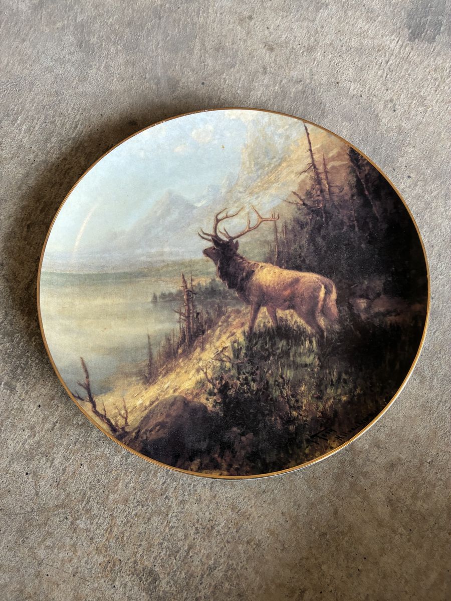 Wildlife Decorative Plate