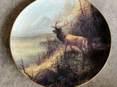 Wildlife Decorative Plate