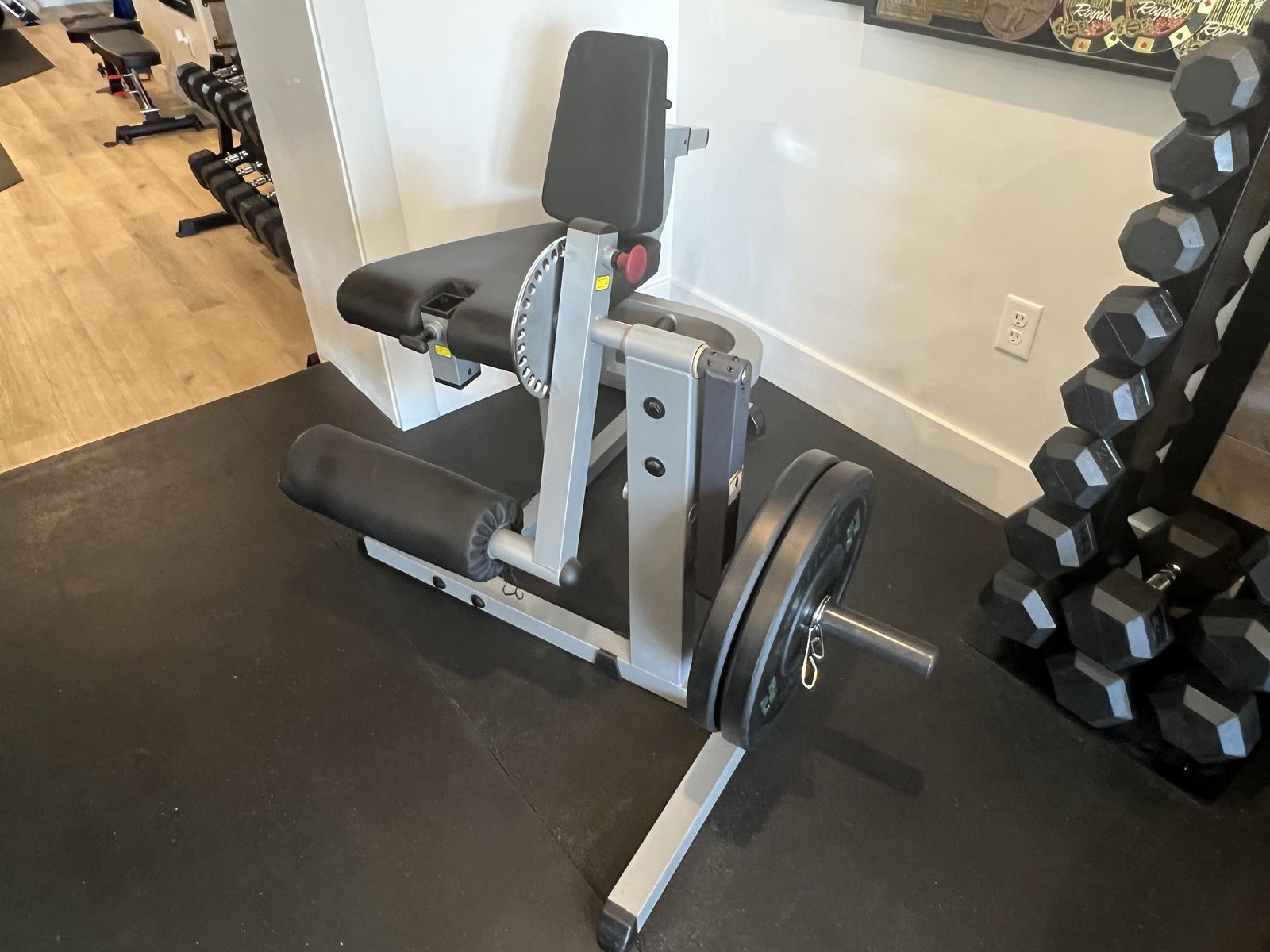 Plate-Loaded Leg Extension and Leg Curl Machine