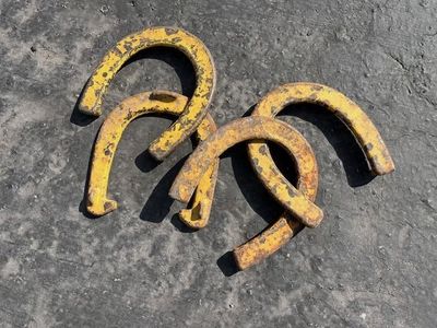 Horseshoes, Competition and recreational games