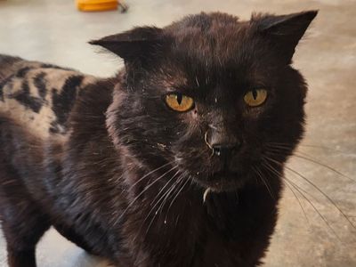 Hello my name is Earl
