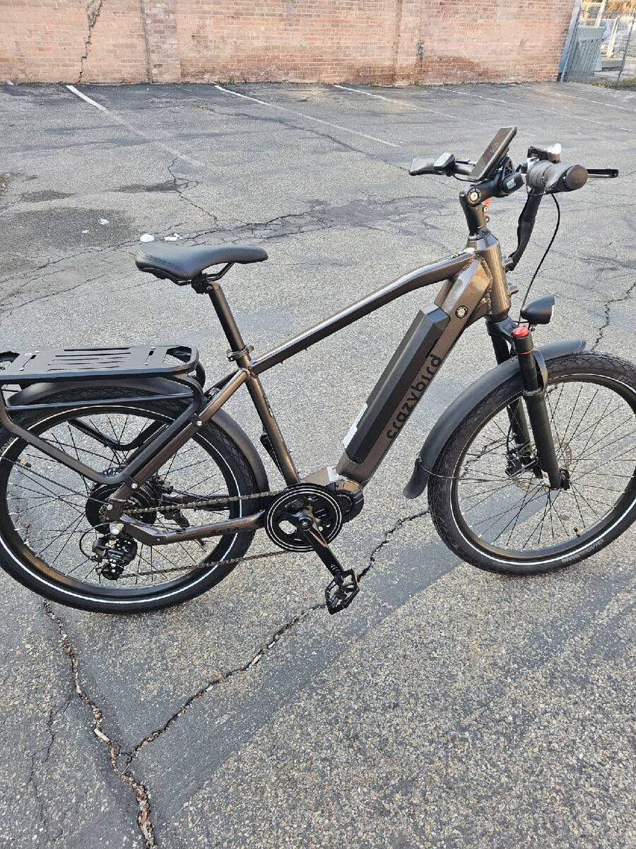 Crazybird Seta Gray E Bike
