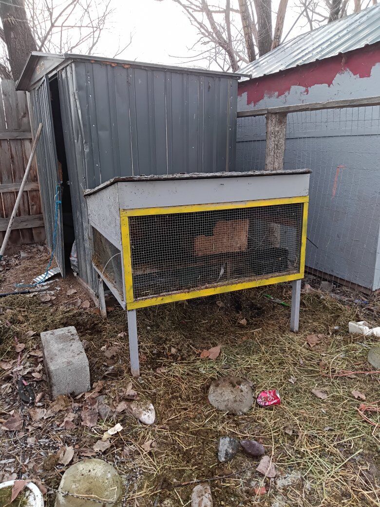 trade: rabbit hutch, rabbits, supplies