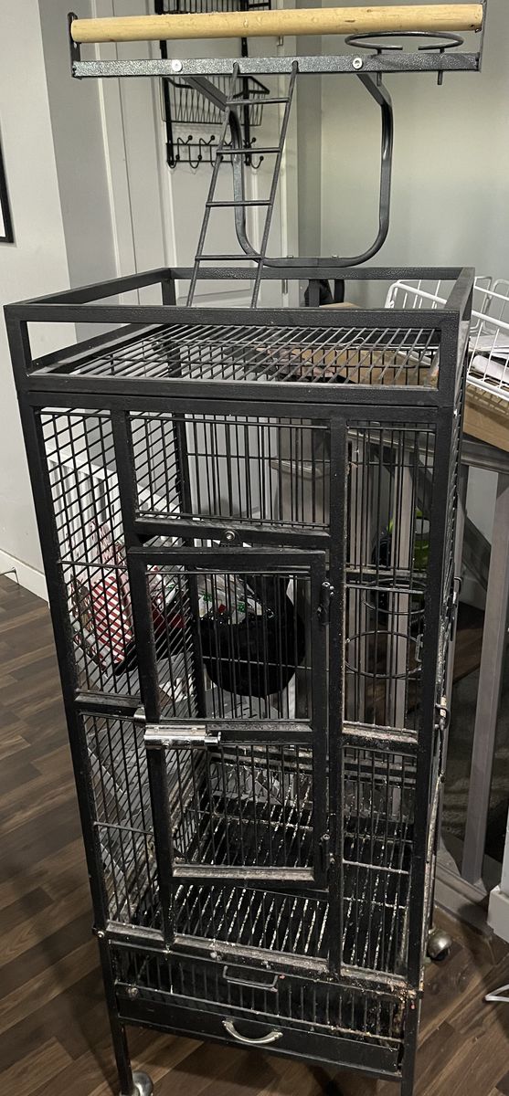 Used medium size bird cage