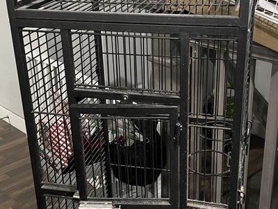 Used medium size bird cage