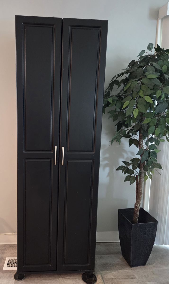 Black Two-Door Storage Cabinet on Casters - Versatile Home Organization