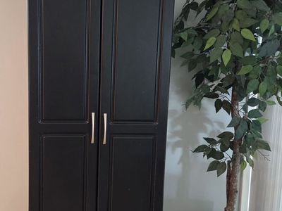 Black Two-Door Storage Cabinet on Casters - Versatile Home Organization